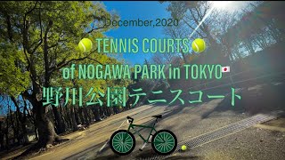 🎾NOGAWA PARK TENNIS COURTS. 野川公園テニスコート