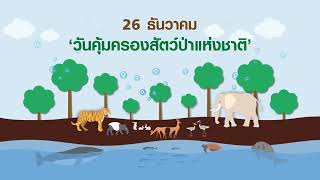 26 ธันวาคม ‘วันคุ้มครองสัตว์ป่าแห่งชาติ’