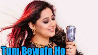 Tum Bewafa Ho | Payal Dev New Song | Tum Bewafa Ho Remix | Stebin Ben | New Sad Songs |
