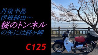 丹後半島　伊根経由～🌸桜のトンネルの先には経ヶ岬