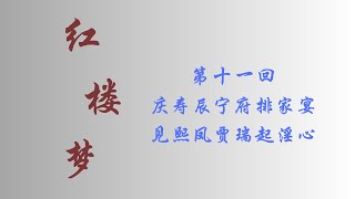 国学经典 四大名著之《红楼梦》第011回 真人朗读 光标跟踪 同步注解