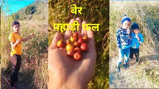 बेर, पहाड़ी फल  Ber fruits @Skt Suraj Pahadi Vlogs# Bageshwar, Uttarakhand