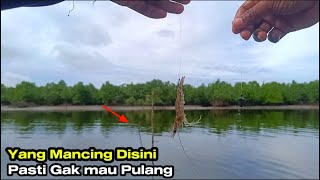 SPOT IDAMAN PEMANCING..!! Siapapun Yang Mancing Disini Pasti Gak Mau Pulang