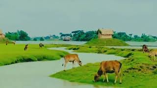 সারা বাংলার গ্রামে গঞ্জে..........