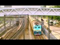 hd the southbound through train z815 guangzhou to kowloon ss8 0156 25t at sheung shui