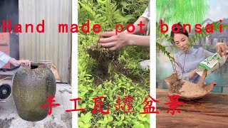 👍Hand made pot bonsai跟我学做盆景 苔Moss👍