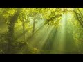 relaxing celtic flute music yoga music sleep music meditation music calm music