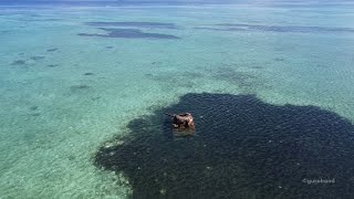 사이판 바다 한 가운데의 셔먼 탱크 / The submerged Sherman tank of Saipan