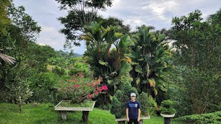 Sophie's Garden 哥伦比亚Finca Romelia，兰花农场幽美优越兰花围绕的住宿环境