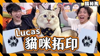 【寵物拓印】Lucus親手製作！超珍貴紀念卡片!