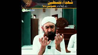 Maulana Bashir Farooq Qadri Dua for Palestine | #Saylani #Palestine #Dua