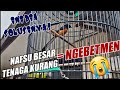 ⭕️ MENGATASI MURAI BATU NGEBETMEN‼️ SETINGAN MURAI BATU JUARA LOMBA OM DIKIN MARKAS MURAI OMBYOKAN