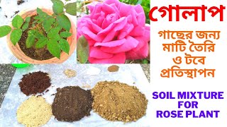 টবে গোলাপ গাছের জন্য মাটি তৈরি ও প্রতিস্থাপন || soil mixture for rose plant in pot