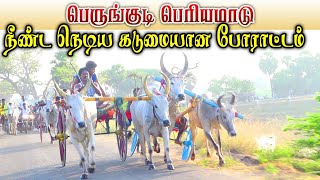 பெரியமாடு - பெருங்குடி_பந்தயம் 30.03.2023