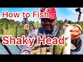 How to Fish a Shaky Head - Bass Fishing