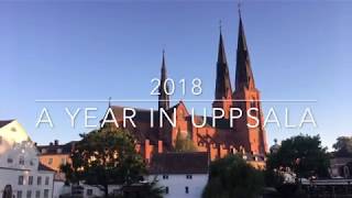 A Year in Uppsala, Sweden -  2018