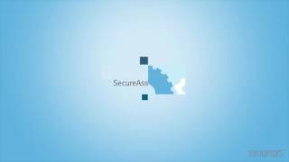 Secure Assist | Synopsys