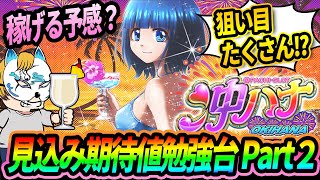 【沖ハナ前編】スロプロが設定狙いと狙い目ボーダーを解説!!わかりやすくゲーム性から紹介!!【乃木坂コラボ】