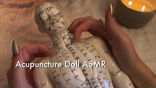 ASMR Full Body Tap & Scratch On The Acupuncture Doll ᵕ̈ No Talking