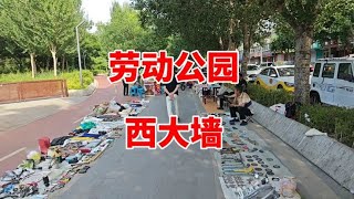 实拍沈阳劳动公园西大墙小树林，与你想象的有什么区别？一起看看