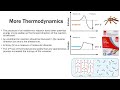 energy metabolism bioenergetics for critical care