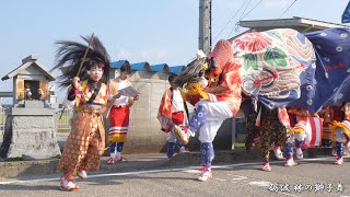 砺波 林の獅子舞 祠の前での獅子舞 2023年 / 富山県砺波市