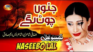 Jinu Chot Lagy | New Punjabi Song 2021 | Naseebo Lal