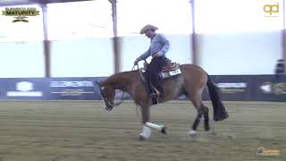 Maturity 2021 - ANDREA PEDROTTI \u0026 HA WHIZZING SPARK score 212,5