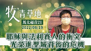 耶穌與法利賽人的衝突－光榮進聖城背後的危機│馬太福音21│20220819牧人青草地│EP241