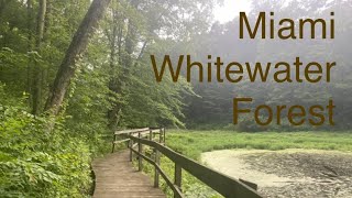 Miami Whitewater Forest