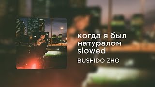 BUSHIDO ZHO - когда я был натуралом slowed (1 час)