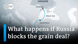Why is the Black Sea grain deal important? | DW News