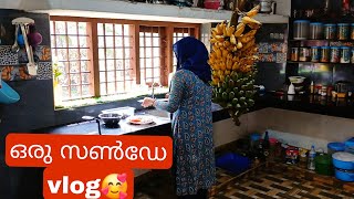 എന്താ ടേസ്റ്റ് അവിൽ മിൽക്ക് ഇതുപോലൊന്ന് ഉണ്ടാക്കി നോക്കൂ👌Kerala village life style vlog/haifa kitche