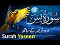 Surah Yasin ( Yaseen ) with Urdu Tarjuma | Quran tilawat | Episode 0011| Quran with Urdu Translation