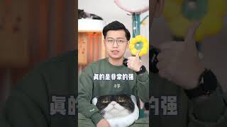 猫咪为什么喜欢咬你的手指，原因尽然这么奇葩 #猫咪 #科学养宠攻略 #宠物知识  一只憨憨小虎