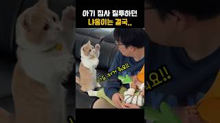 아기집사 질투하는 귀여운 고양이 행동 #야옹이 #animals