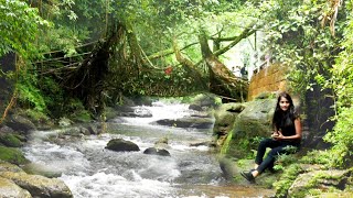 Incredible Meghalaya - Living Root Bridge || Mawlinnong || Meghalaya || India || Plenty Facts