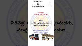 Nandyala to Pulivendula Bus #nandyala #allagadda #jammalamadugu #muddanur #pulivendula #shorts