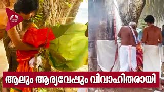 Palakkad Tree Marriage | ആലും ആര്യവേപ്പും വിവാഹിതരായി