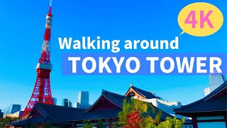 【4K】Walking around TOKYO TOWER (Shiba-koen) | 東京タワー周辺（芝公園）