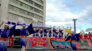 ２０１４ 黒潮よさこい祭り（かつみ）ー華と大地