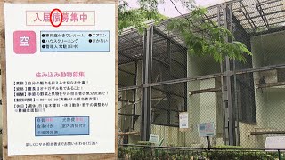 【入居“猿”募集中】安佐動物公園の戦略　カラの「おり」が評判に