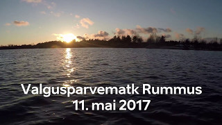 Valgusparvematk Rummus - 11. mai 2017