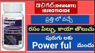 #DOW DELEGAT Insecticide / Full Details in Telugu / #spinetoram 11.7%sc Telangana agriculture