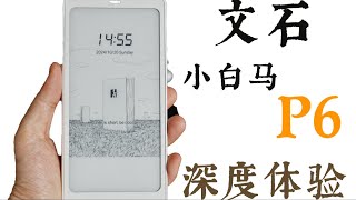 没有用上 Boox Palma 但我可以和你分享文石小白马 P6