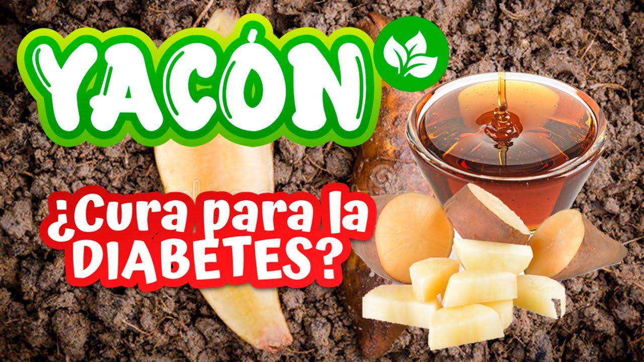 Beneficios Del YACÓN En La OBESIDAD Y DIABETES - YouTube