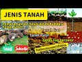 Jenis Tanah Perkebunan Kelapa Sawit