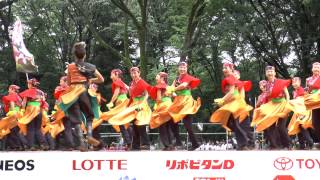 原宿表参道元氣祭　スーパーよさこい2015　文化館ステージ　～郡青　＜埼玉県＞