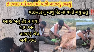 ગાય બવ હેરાન થય || cow Help #bathabhaisatiya5185  #Bathabhaisatiya @Bathabhaisatiya5185