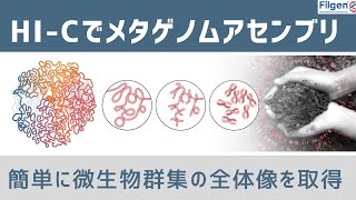 初心者でもわかるHi-C技術！ProxiMetaメタゲノムデコンボリューションと次世代シーケンシング技術を力合わせ、混合サンプルから生物種を同定